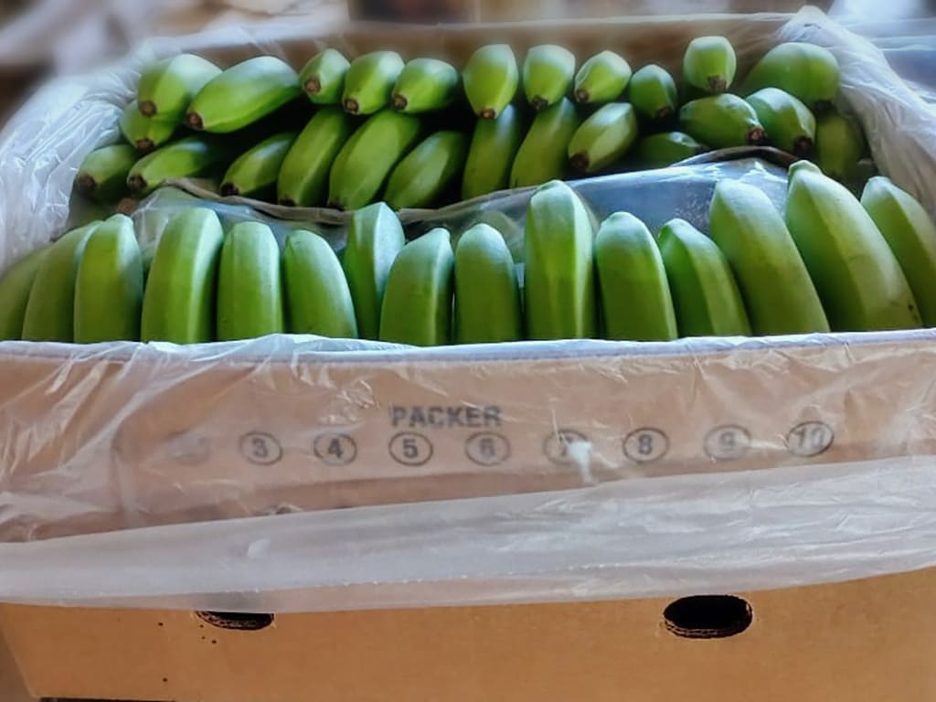 Banano