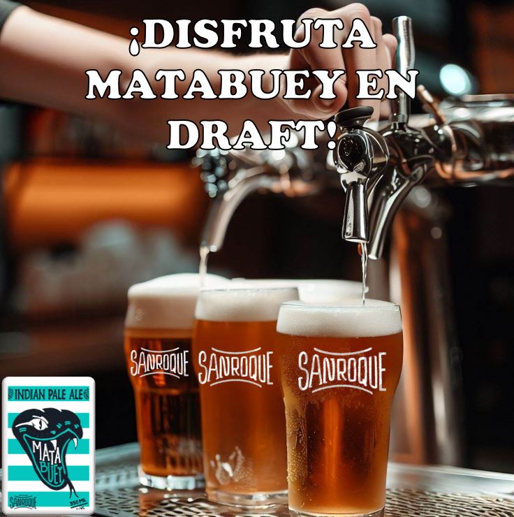 CERVEZA MATABUEY IPA