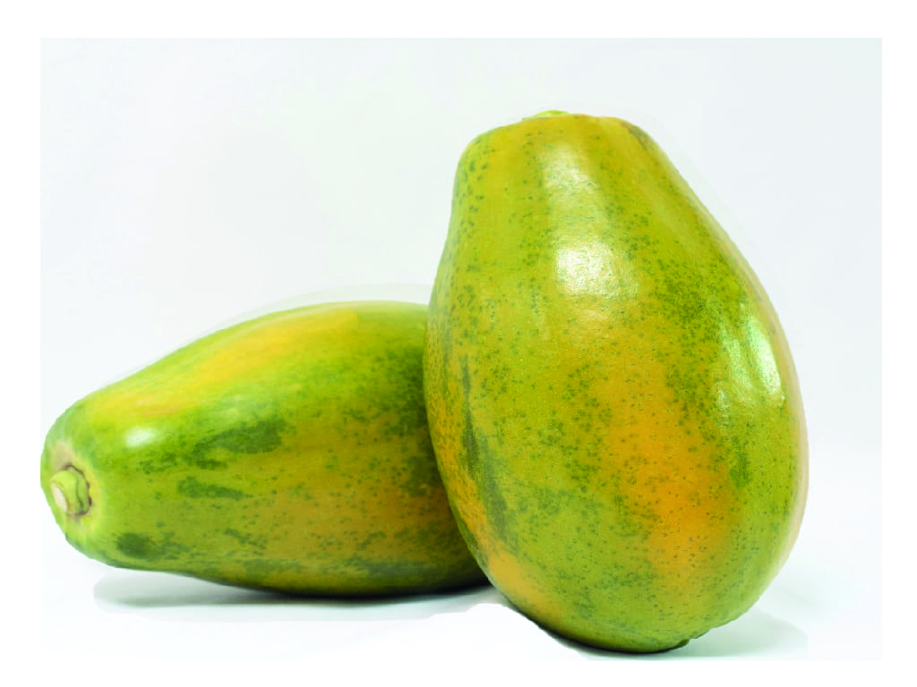 Papaya
