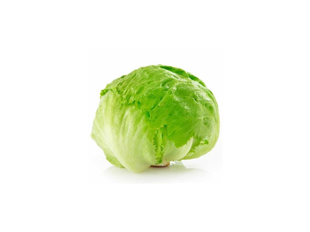 Lechuga Iceberg