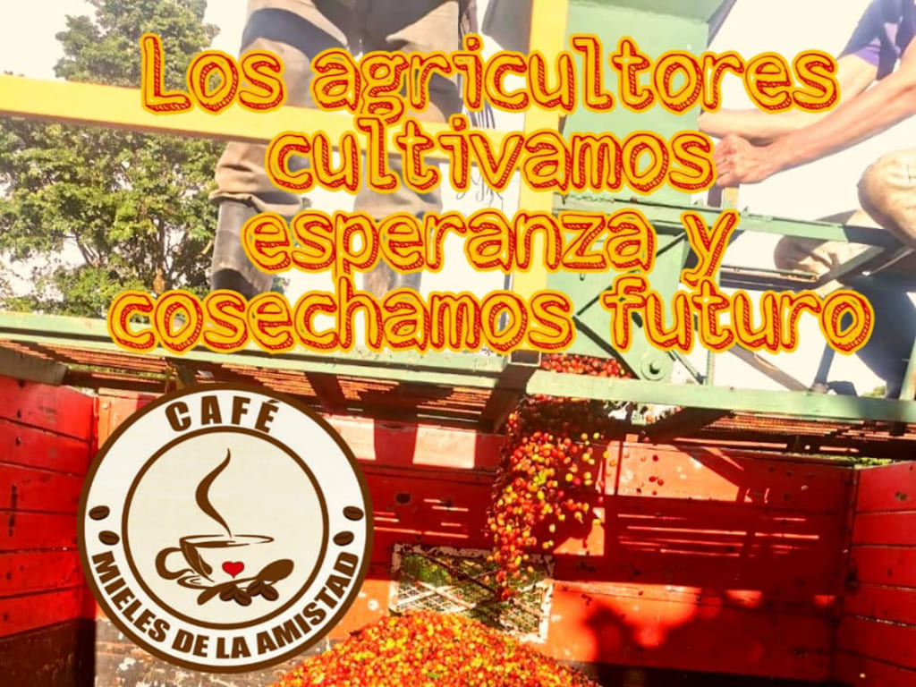 Café Verde
