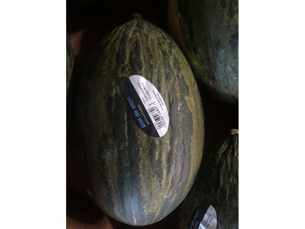 Melón Piel de Sapo