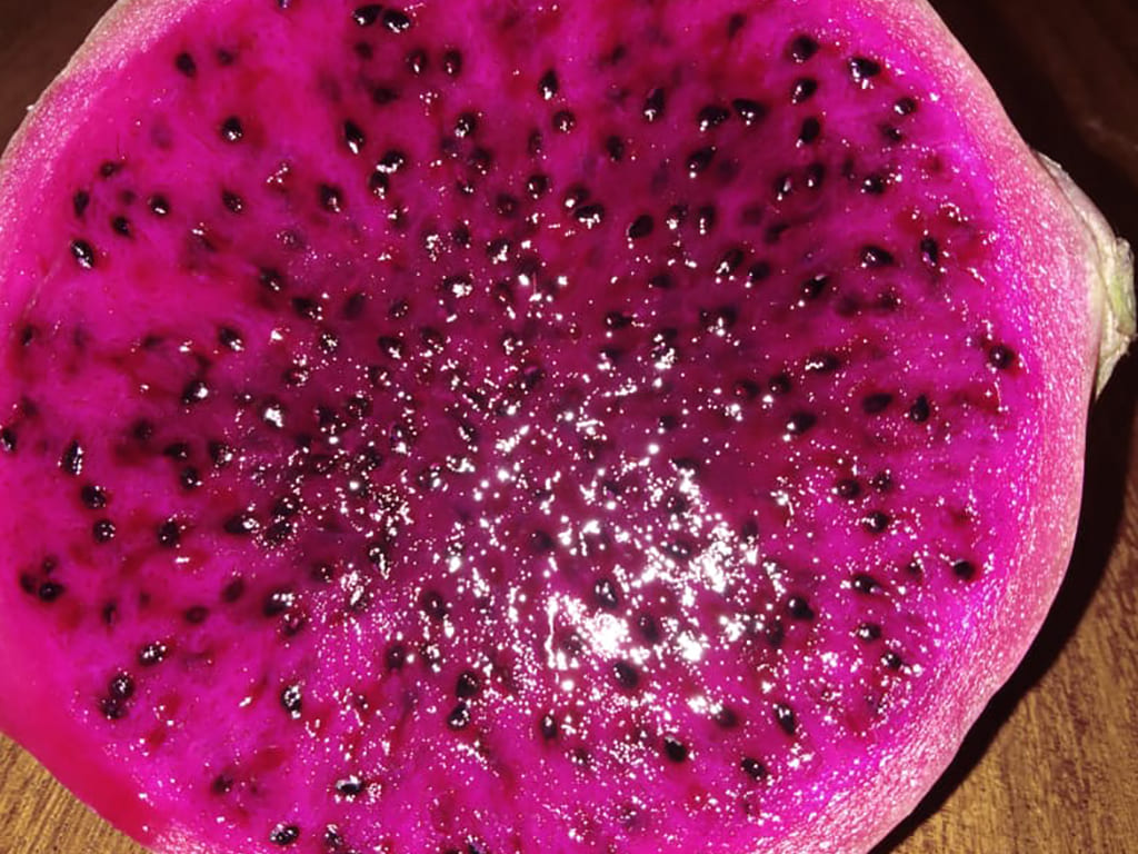 Pitahaya roja