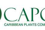CARIBEAN PLANTS COMPANY