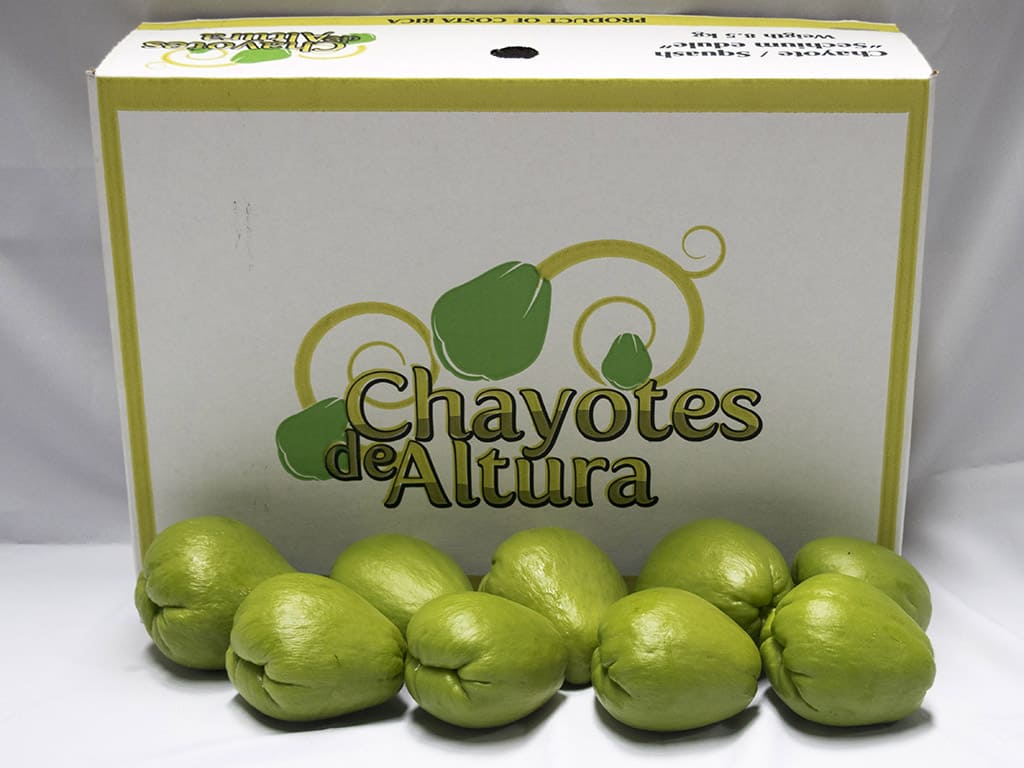 CHAYOTE