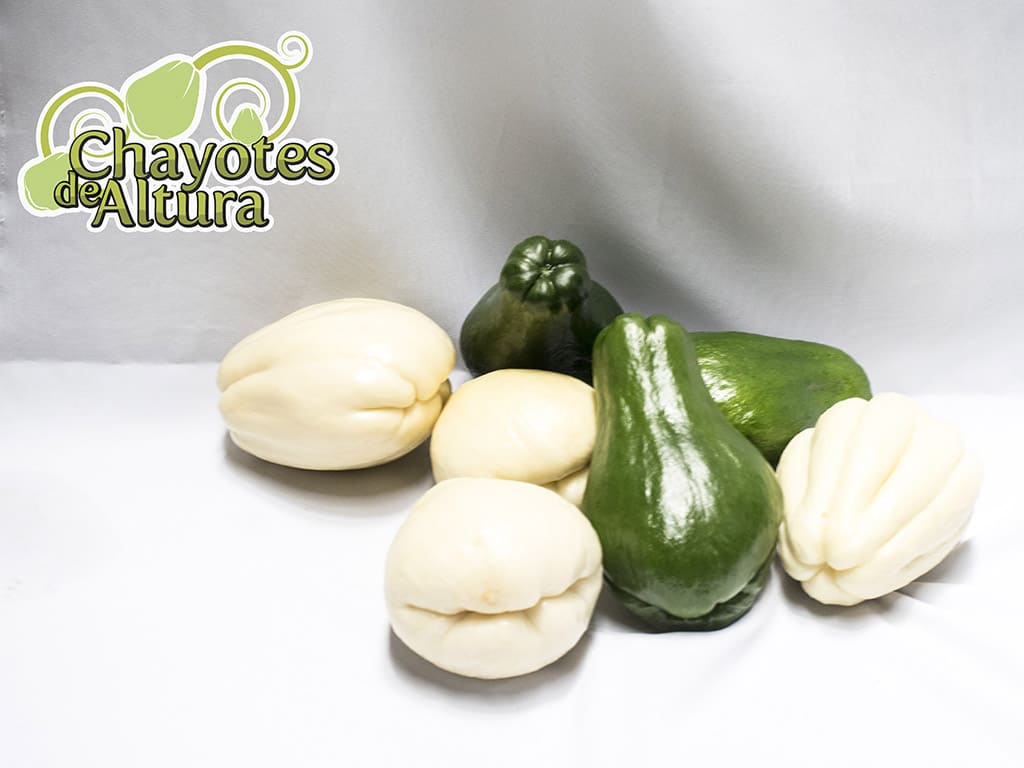 CHAYOTE