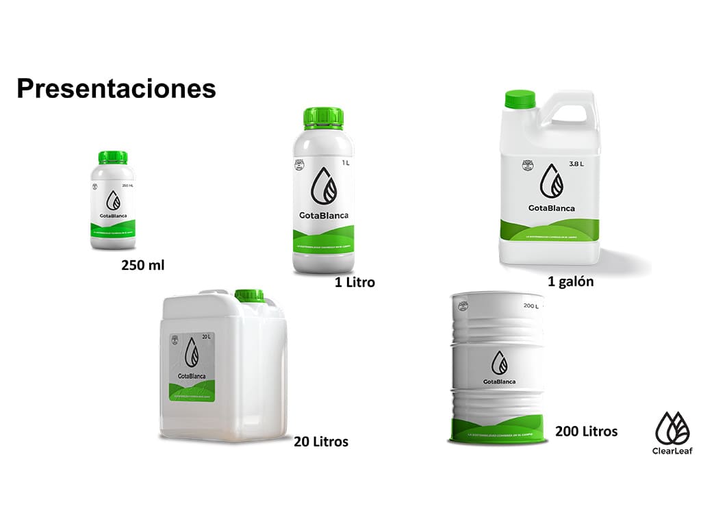 GotaBlanca