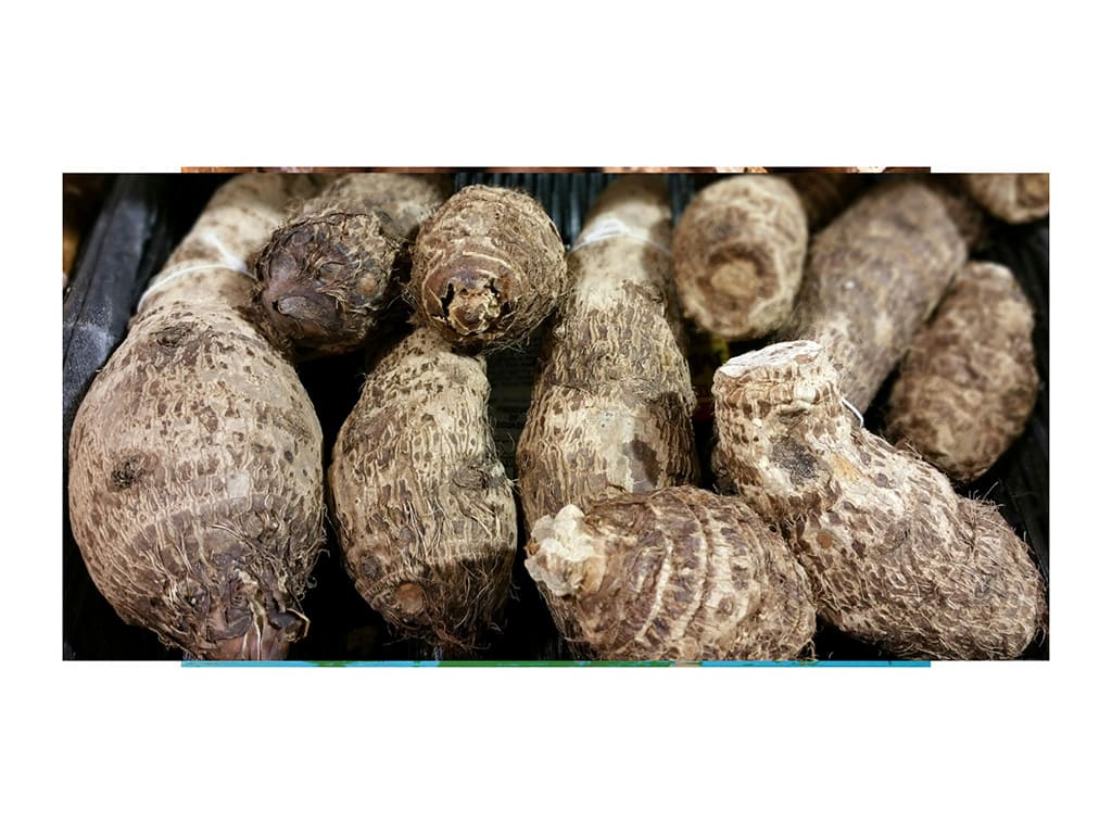 Malanga pelada y Congelada en trozos
