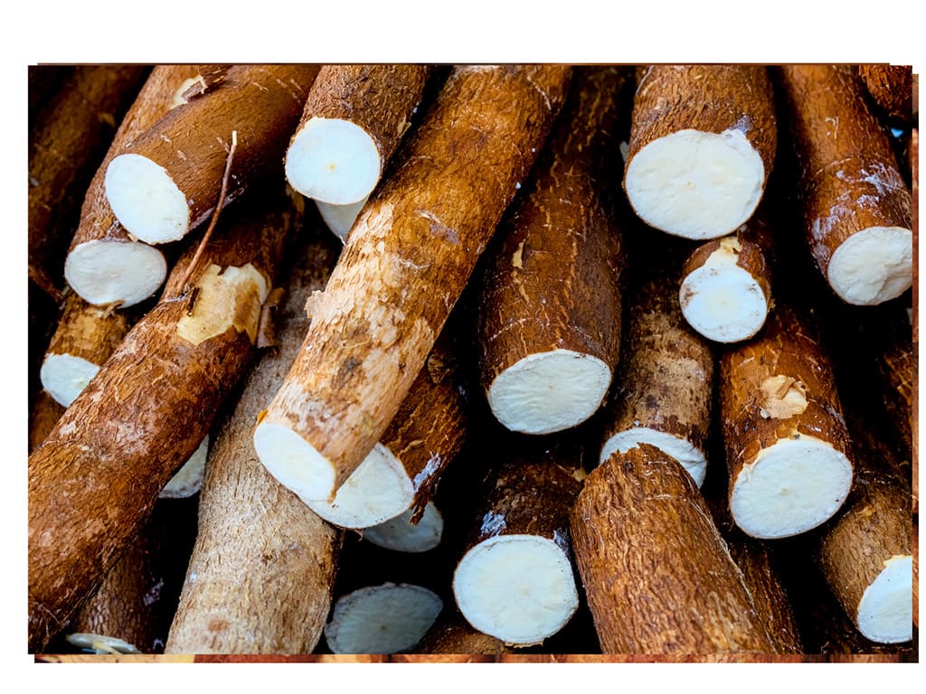 Yuca pelada y congelada en trozos
