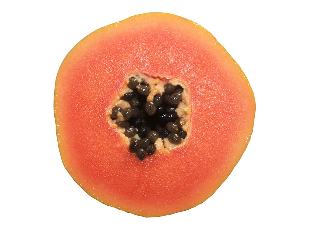 FRESH PAPAYA