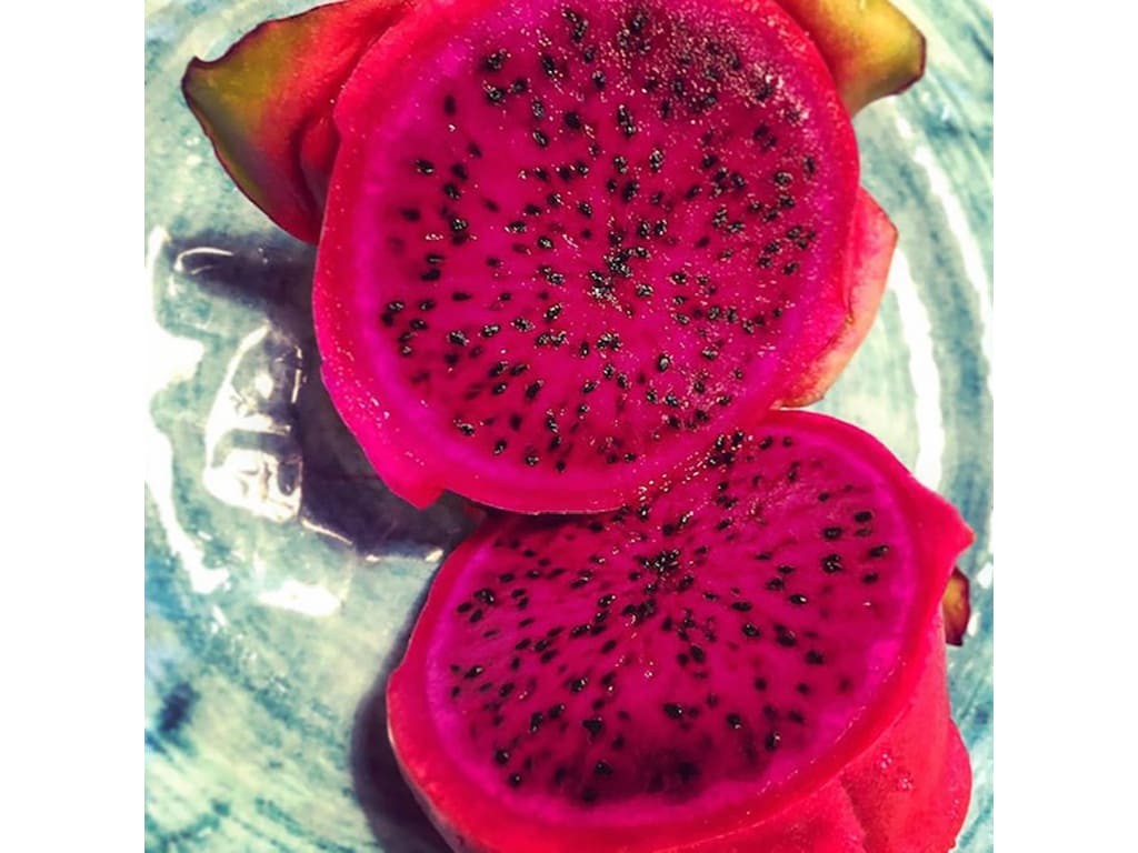 Pitahaya pulpa roja