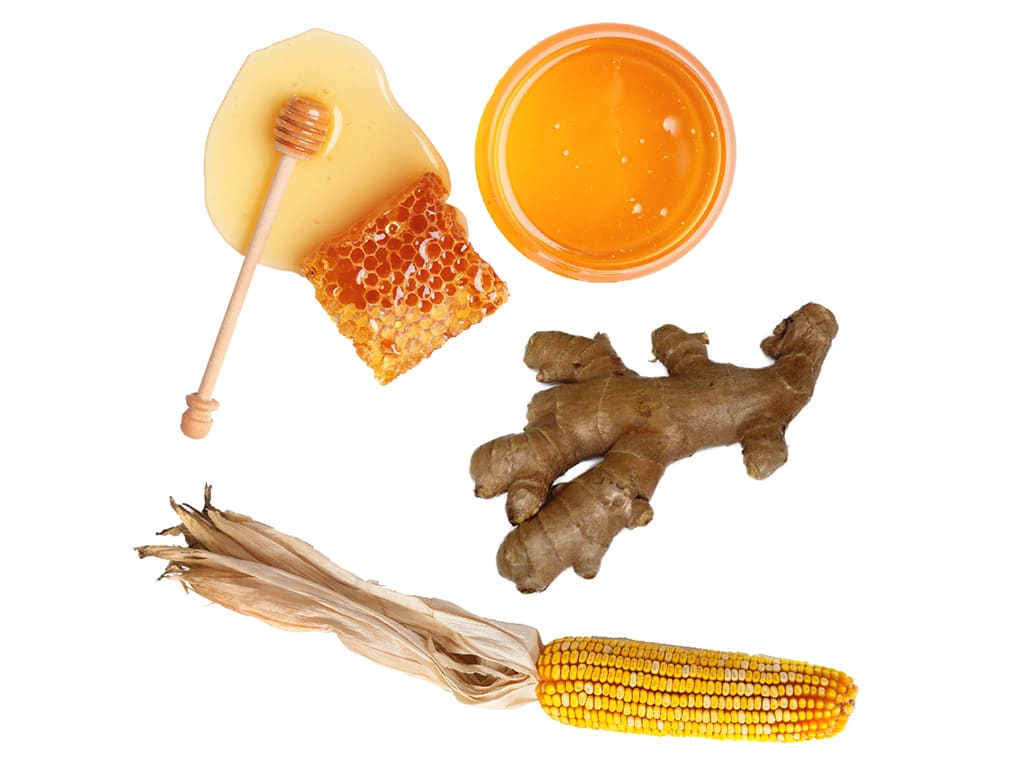 Caribeño – Sparkling Mead with Ginger