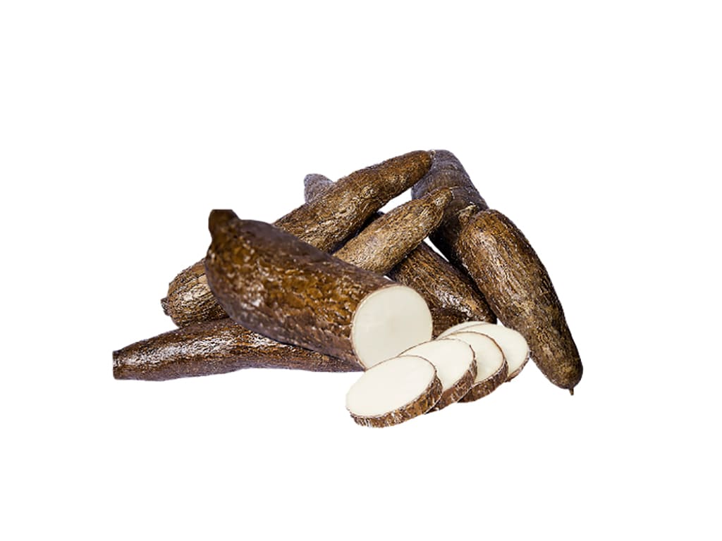 YUCA(cassava)