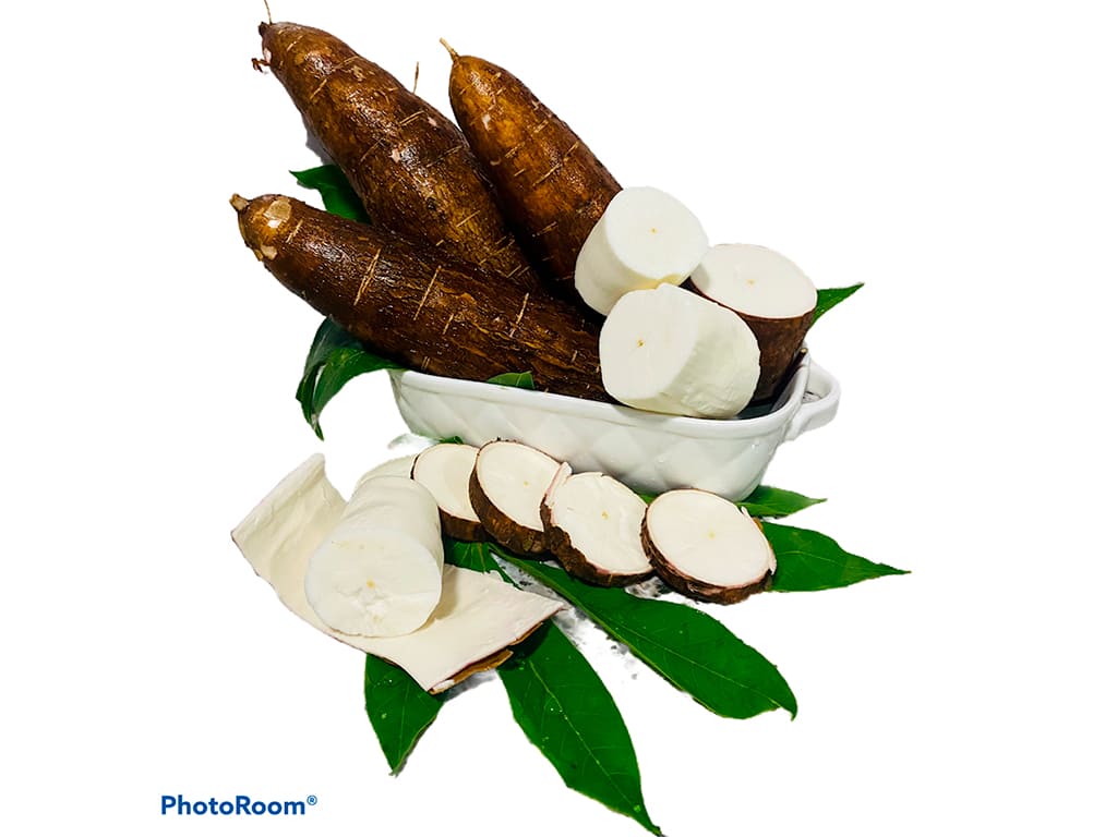 YUCA(cassava)