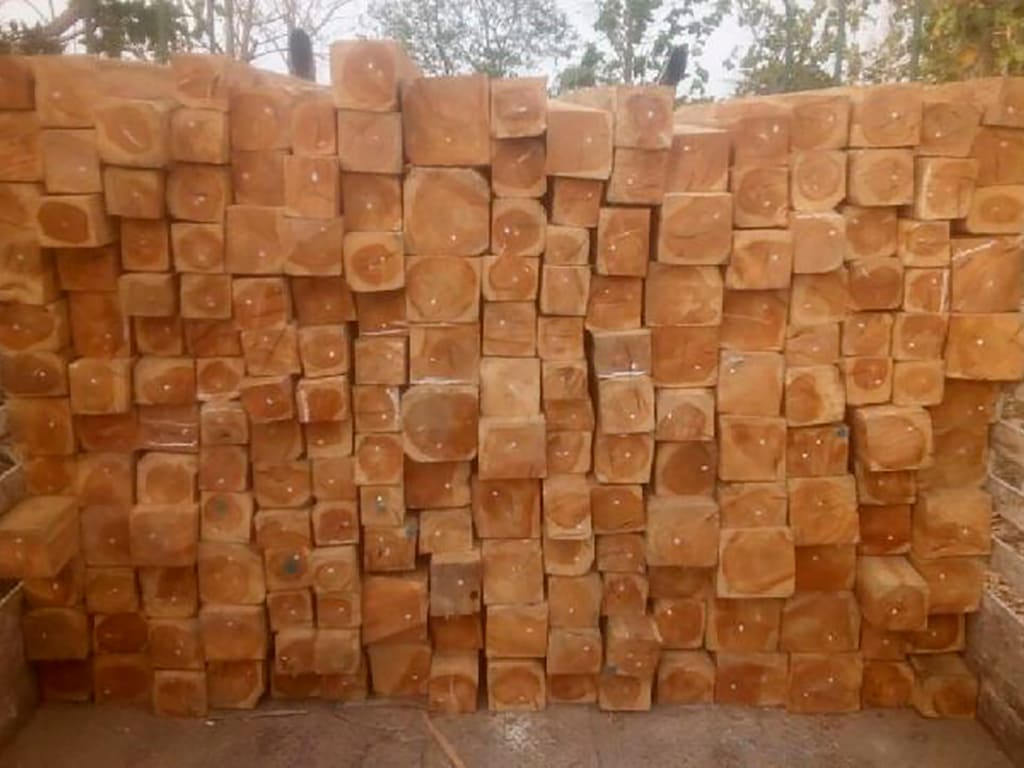 Tectona Grandis (Teca) madera cuadrada