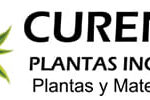 Cureña Plantas INC