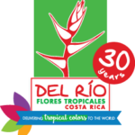 Del Rio Exotic Flowers