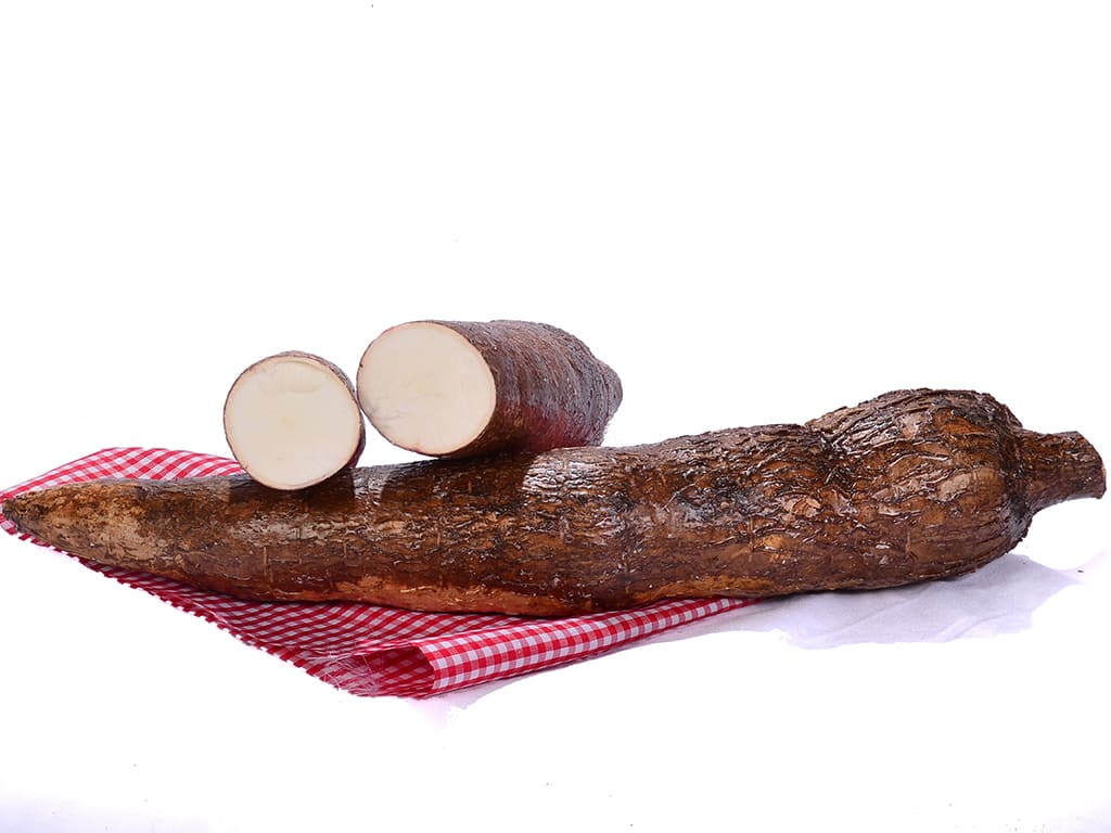 Yuca