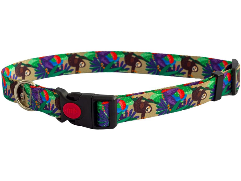 Collares para perros