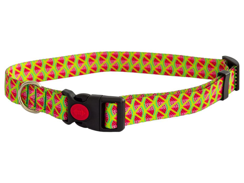 Collares para perros