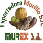 Exportadora Murillo SA