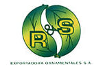 Exportadora R&S Ornamentales S.A.