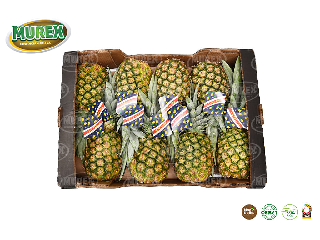 Piña fresca