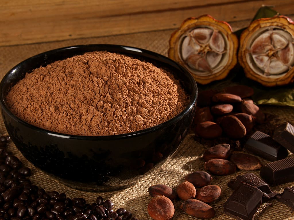Cacao en Polvo Orgánico