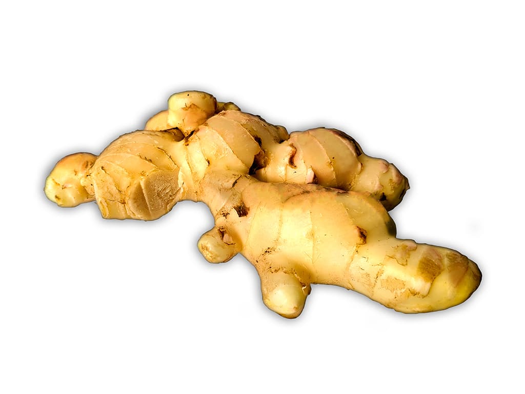 JENGIBRE