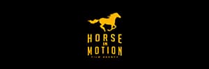 Horse in Motion