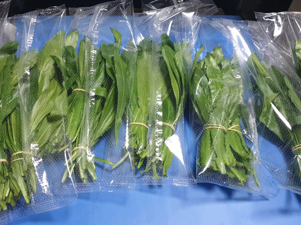 Bolsas para flores, Hortalizas y frutas