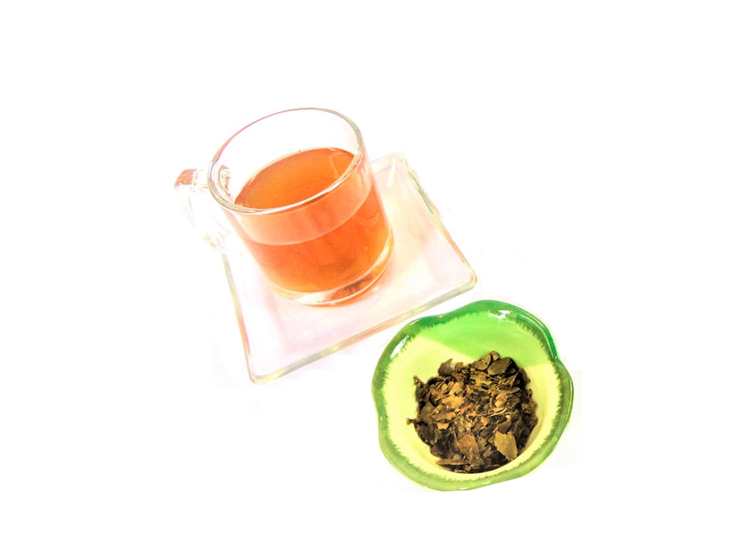 Soursop Herbal Infusion