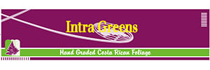 IntraGreens