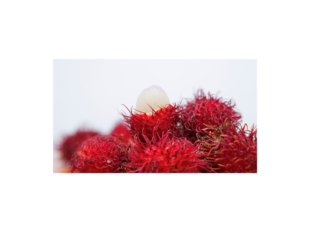 Rambután
