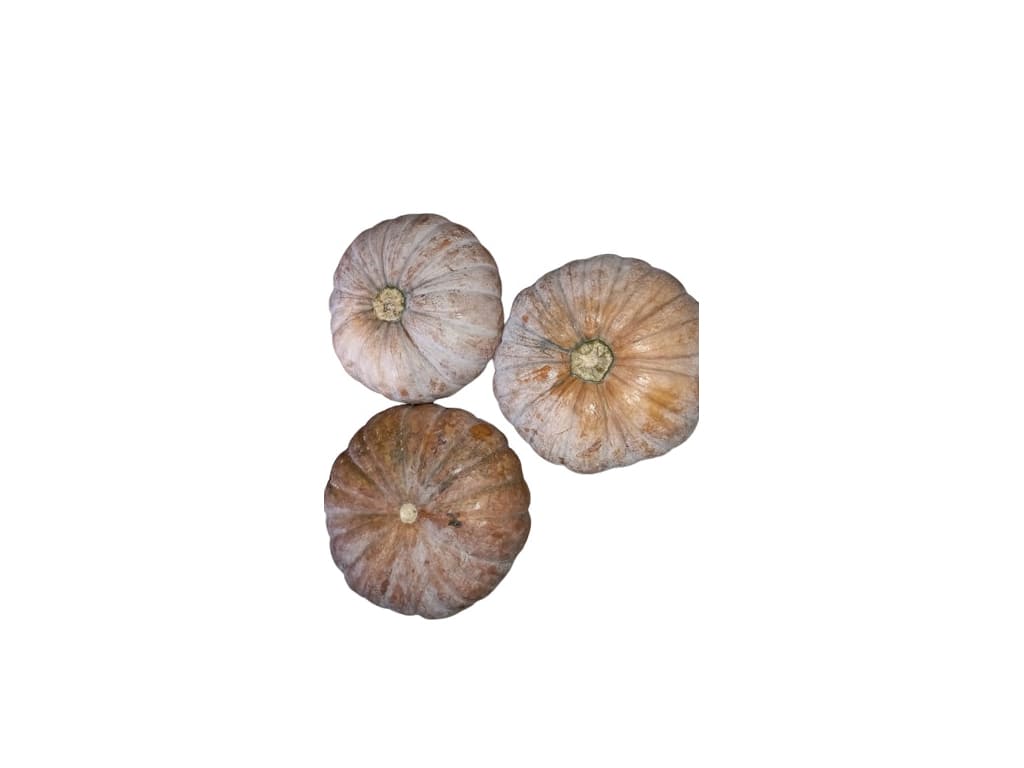 CALABAZA