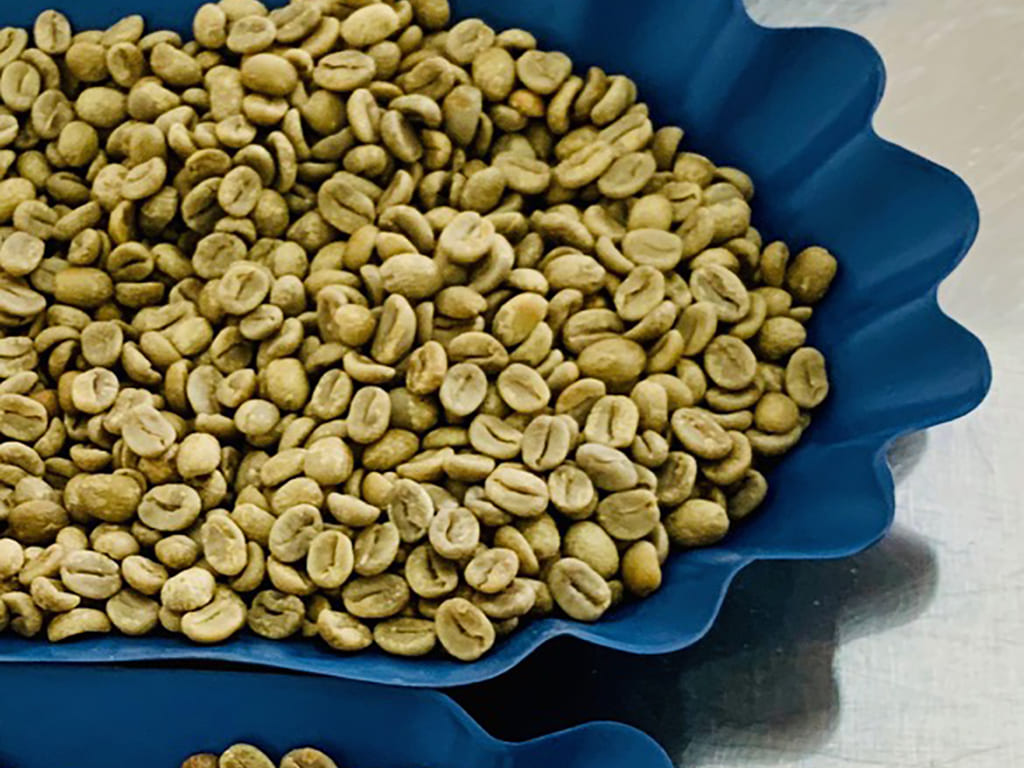 Café en verde