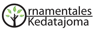 Kedatajoma (zona norte)
