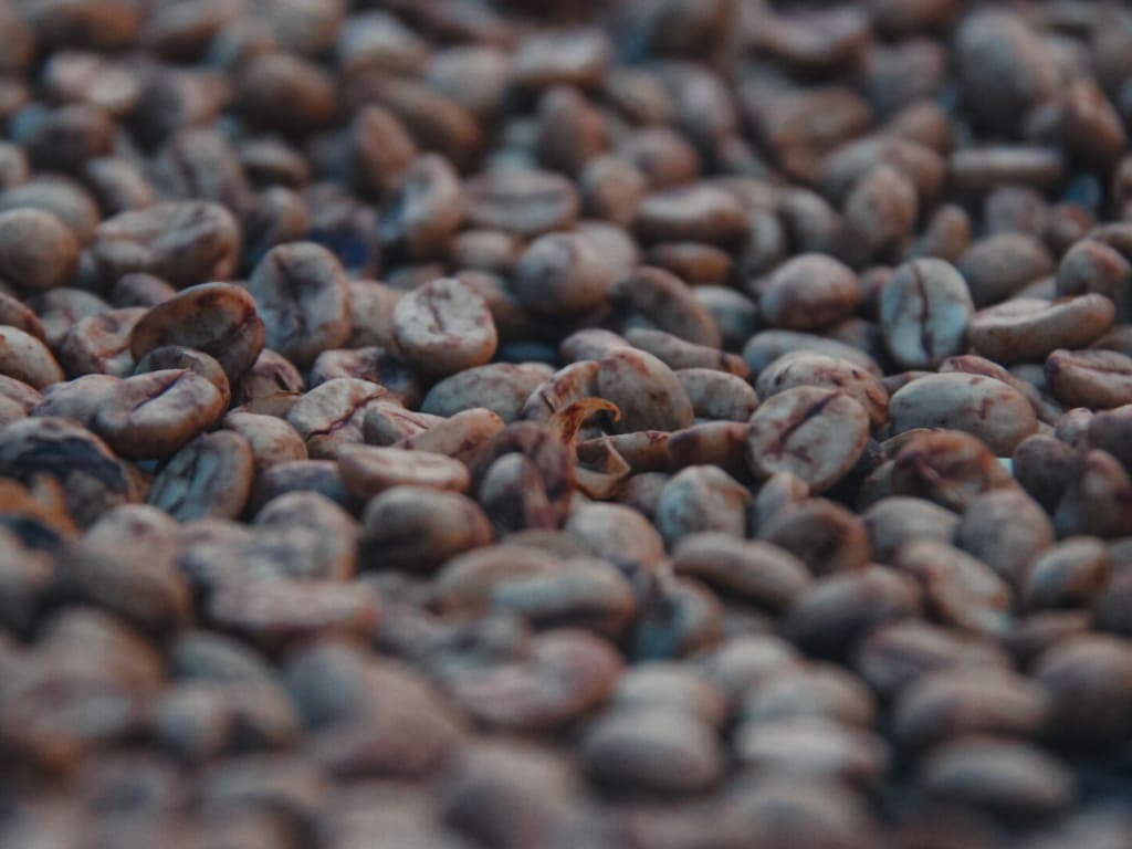 Café Orgánico