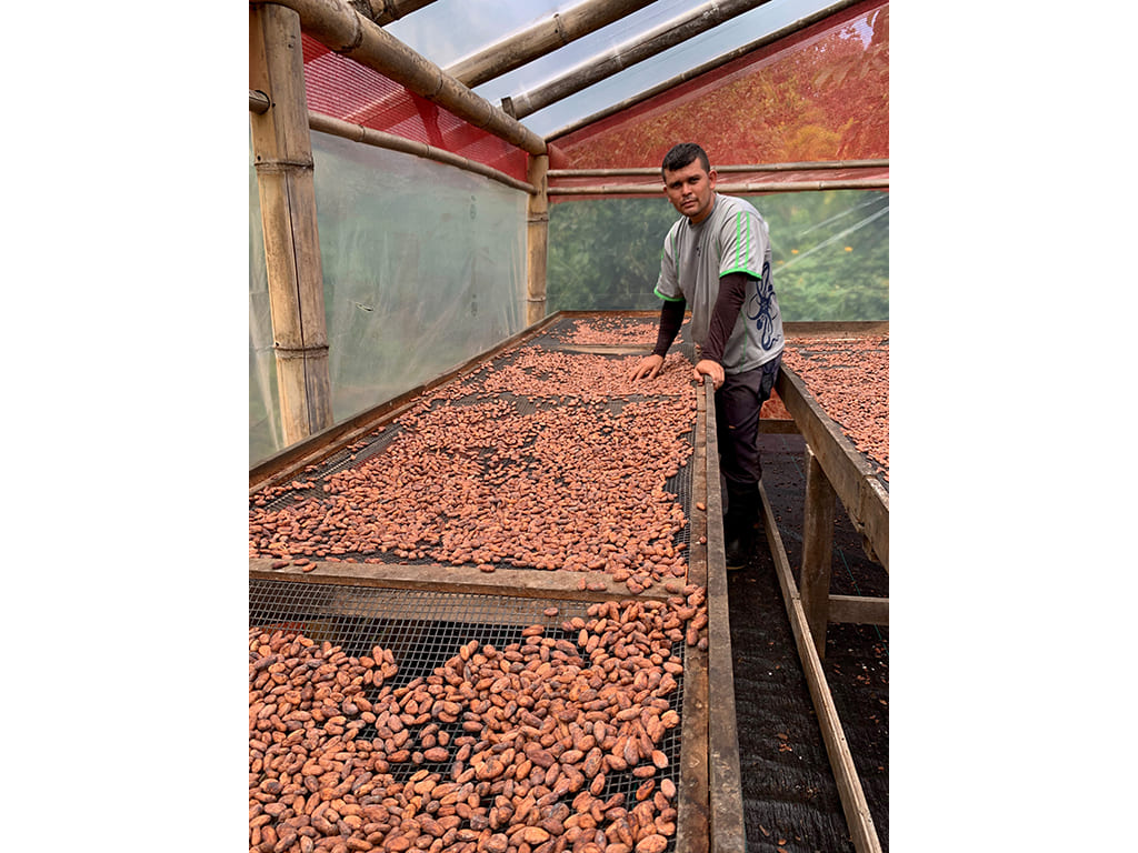 Cacao Nibs