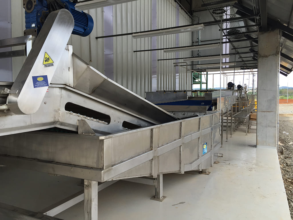 Fruit processing equipment for pineapple and banana.