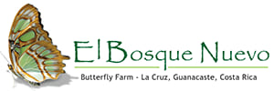 Mariposario del Bosque Nuevo.S.A