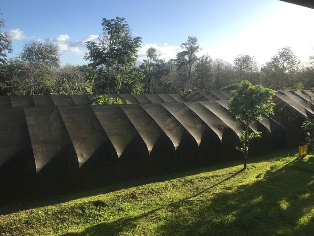 Butterfly pupae , unique in the country that invests its profits in forest conservation and supports more than 80 producers in rural areas for more than 20 years.