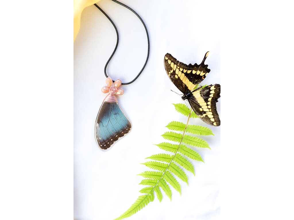 joyeria con alas de mariposa