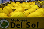 Melones del Sol
