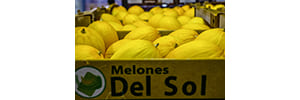 Melones del Sol