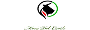 Mora del Caribe
