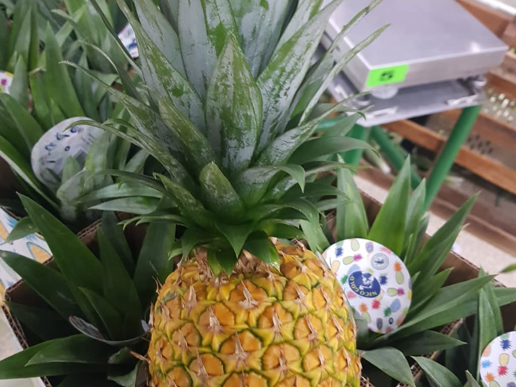 Piña Fresca