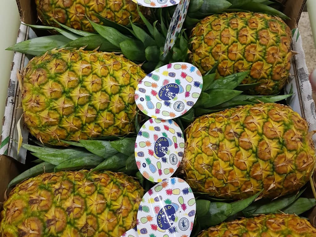 Piña Fresca