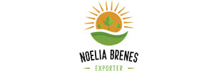 Noelia Brenes Araya