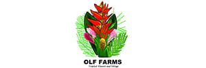 OLF FARMS